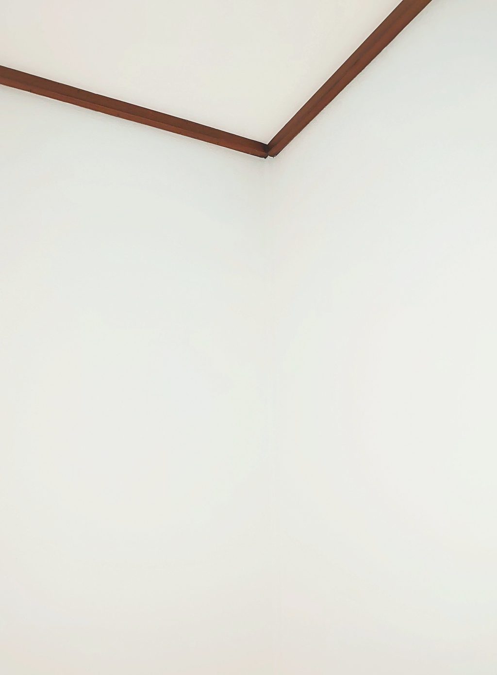 和光市　和室の隅柱のカビアフター