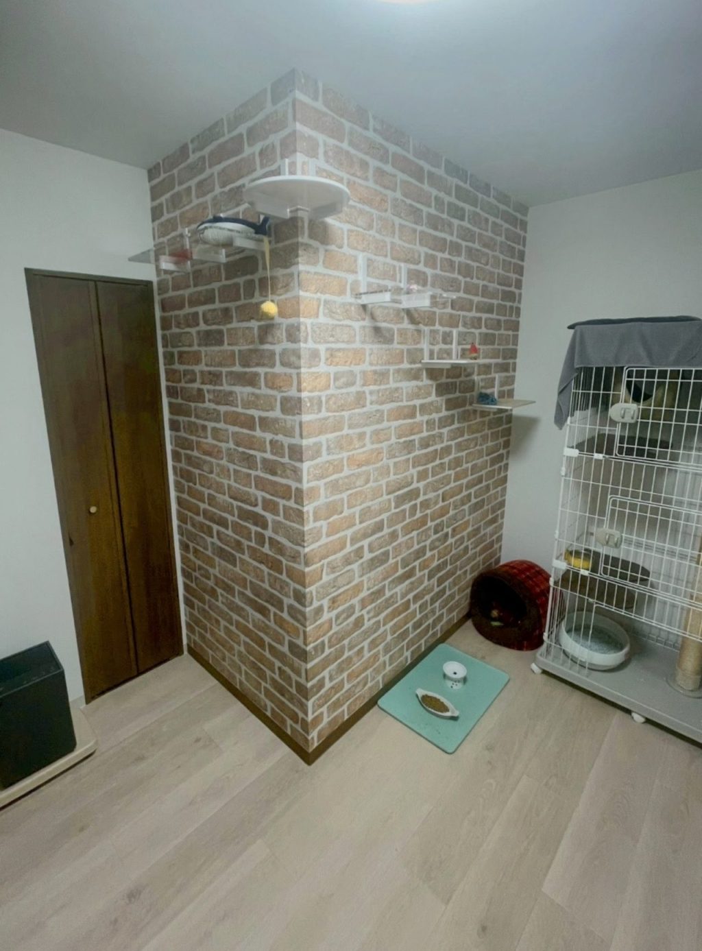 さいたま市　リノベ④洋室から猫部屋へアフター