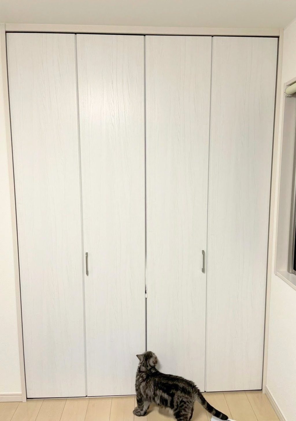 川口市　クローゼットドアの入替えアフター